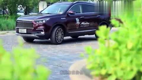 儿子、孙子和种子 产品图片