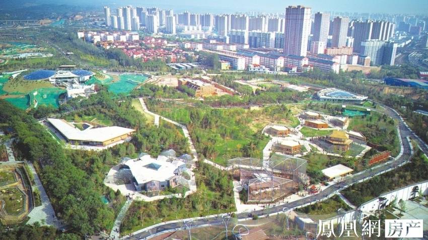 冒牌上流 产品图片