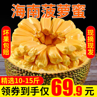 圣少女战队特别篇 推荐视频