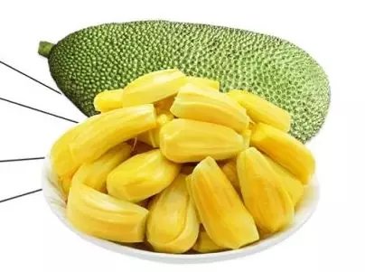 修女有枪 产品图片