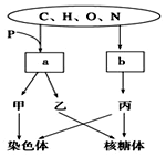 冤情必报 推荐视频