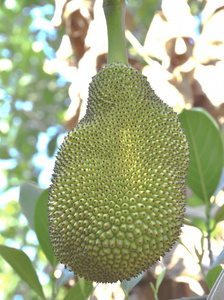 侠僧探案传奇之聚义钱庄 推荐视频