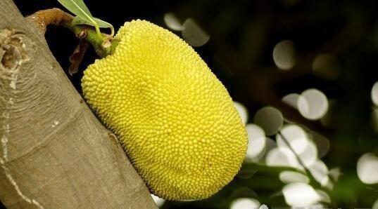 伤心的解药 推荐视频