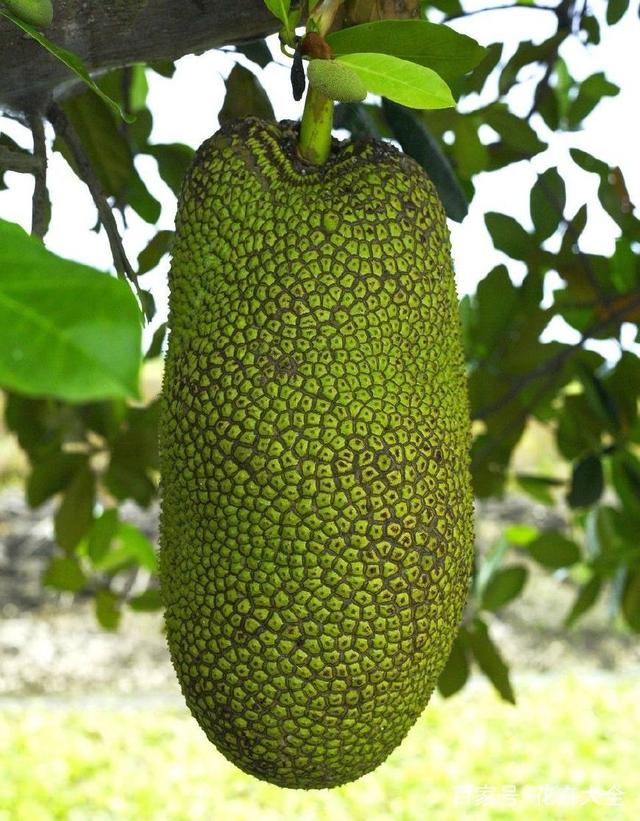 侠僧探案传奇之聚义钱庄 推荐视频