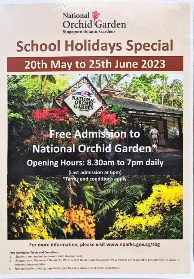 你口袋里有把枪吗？ 推荐视频