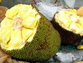 侠士行 推荐视频