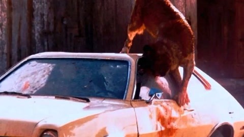 冒牌大贼 冒牌大賊 产品图片