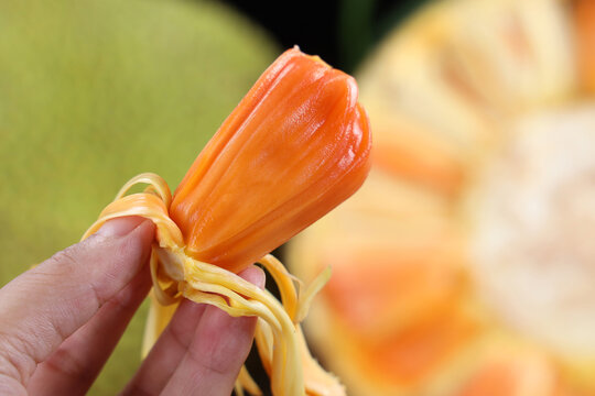 佩姬苏要出嫁 产品图片