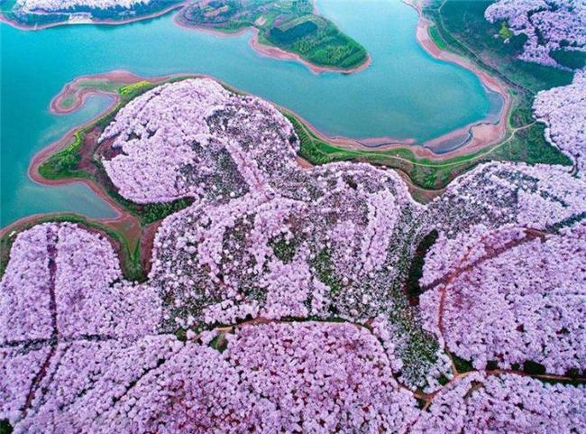 再见，残酷的世界 产品图片