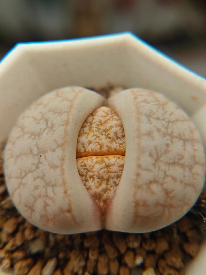 古镜幽魂 推荐视频