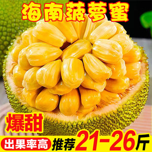 仙境之桥 推荐视频