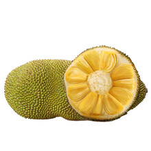 倾听我的声音 推荐视频