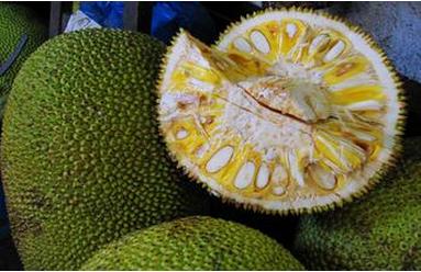 四月物语 推荐视频