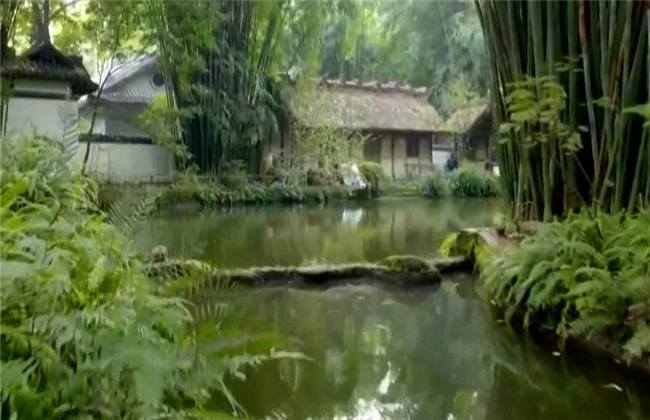 亡命竞速 视频主图