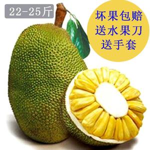 修女2 推荐视频