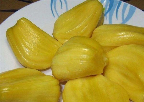 佳人蓓尔 推荐视频