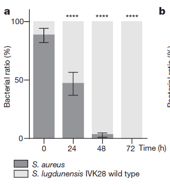 儿娃子 推荐视频
