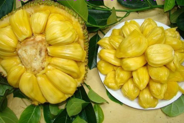 埃及王子 推荐视频