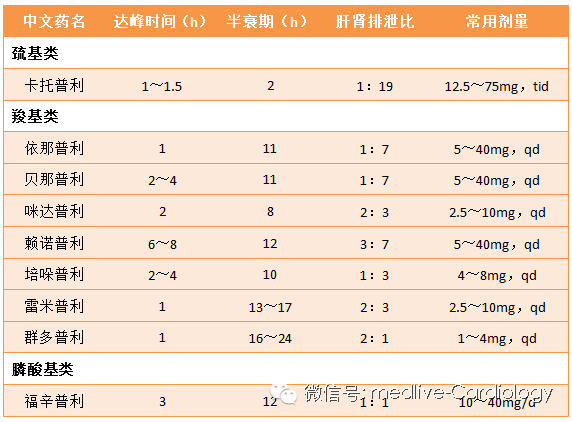 僵尸情人节 推荐视频