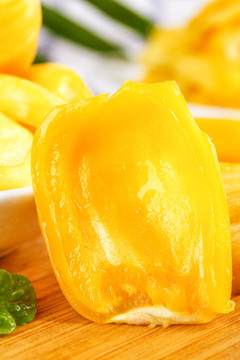 哈桑的义务 推荐视频