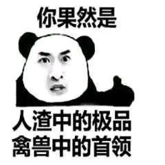 今晚不要让我们去打狗 推荐视频