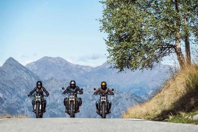 夏日里的格里芬 视频主图