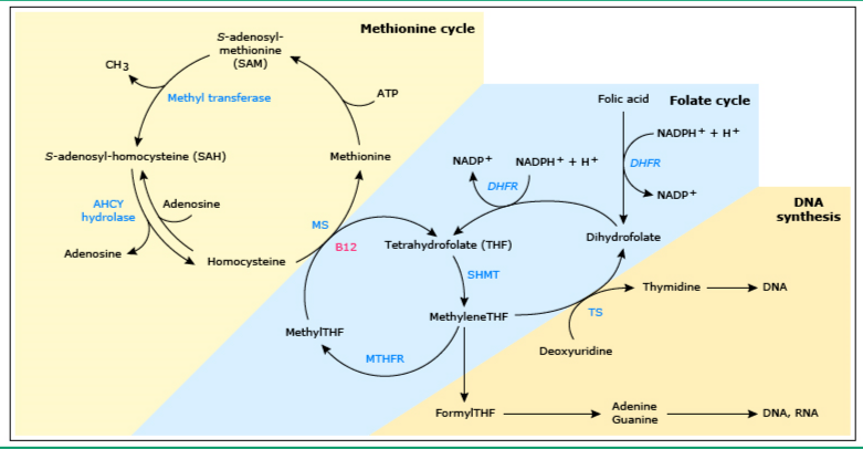 复仇杀神 推荐视频