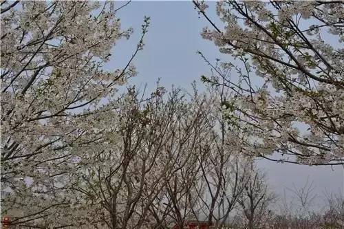 僵尸大时代 推荐视频