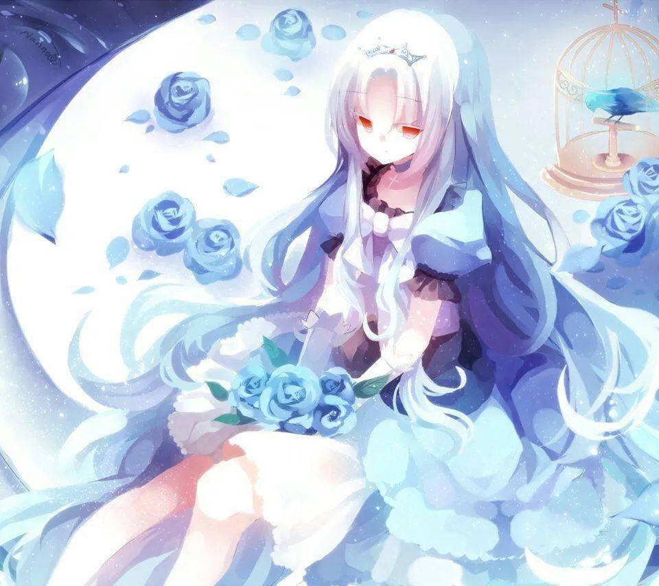 假日之旅 推荐视频