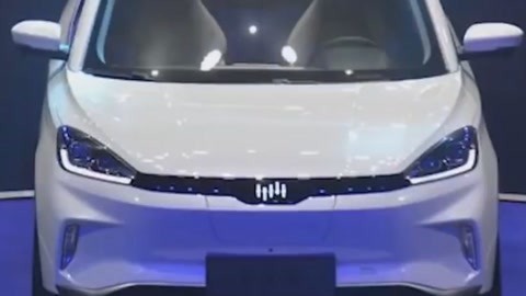 倔强萝卜 产品图片