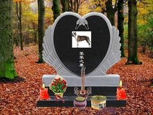 呆佬拜寿（粤语版） 推荐视频