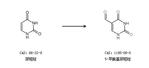 僵尸皇帝 推荐视频