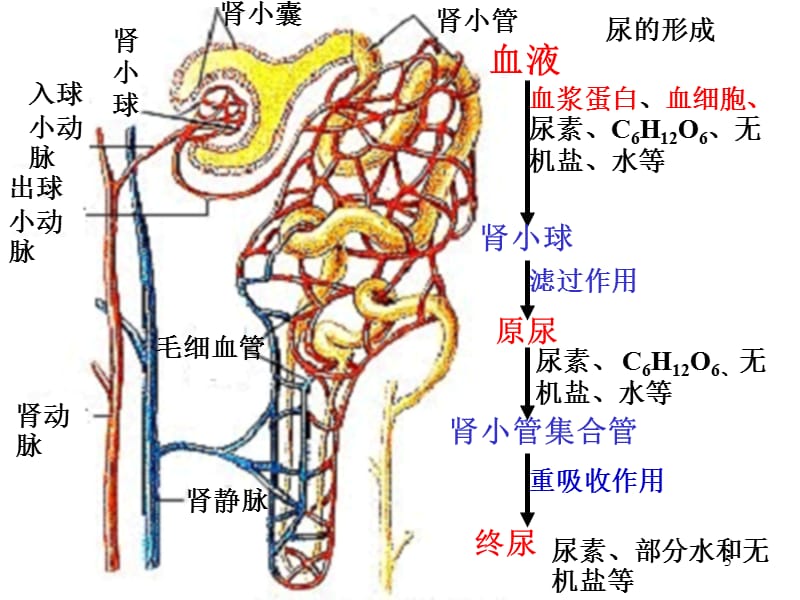 傀儡人 推荐视频