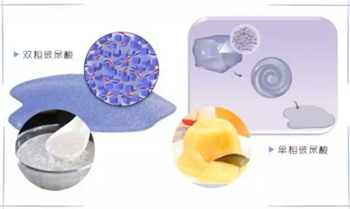 伊萨卡 推荐视频