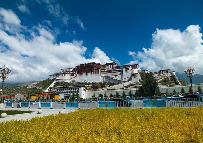 佐佐木与宫野 剧场版 视频主图