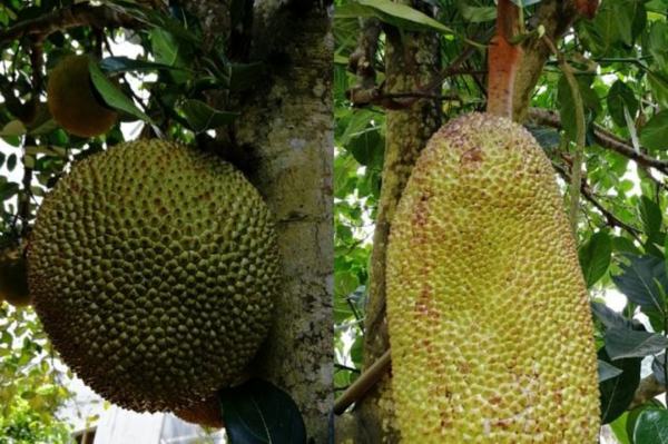 传宗接代 推荐视频