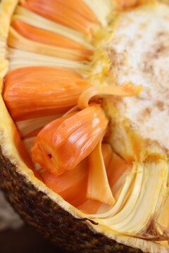 你好，13岁 推荐视频