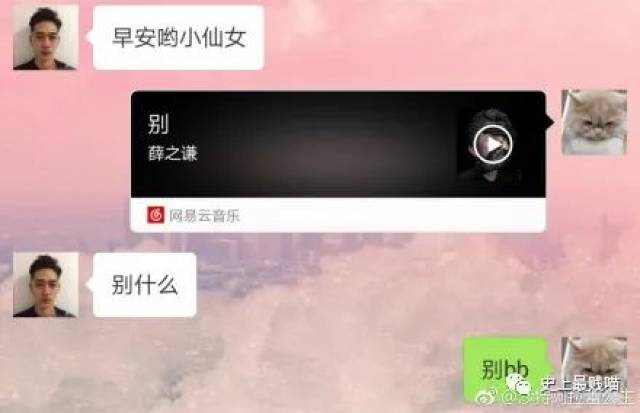 体外实验 产品图片