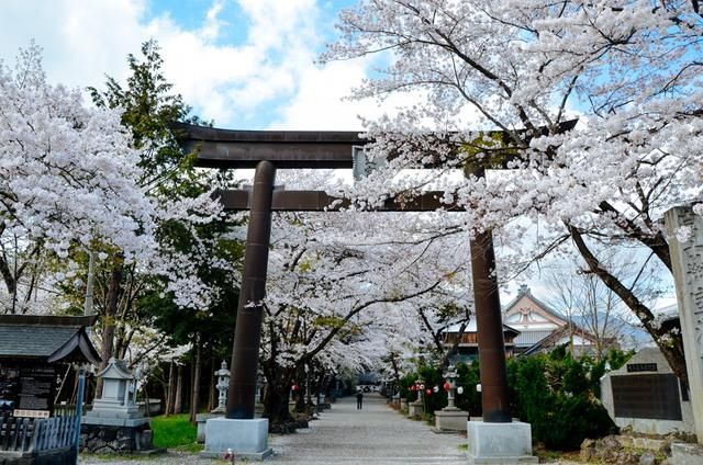 你的样子 推荐视频