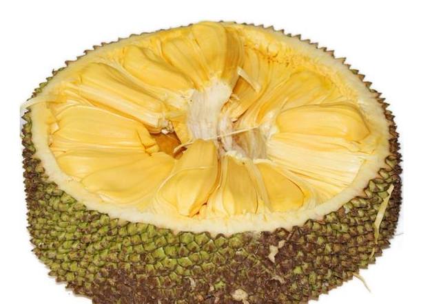 你的幸运日 推荐视频