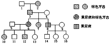 傀儡门之惊天魔局 推荐视频