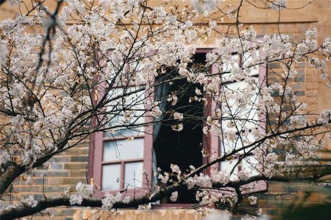 从伦敦到布莱顿 推荐视频