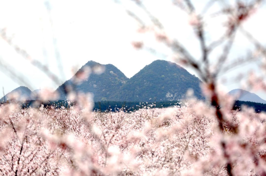 停不了的爱 推荐视频