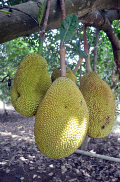 冰封之地 推荐视频