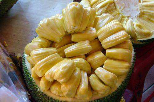 人鱼江湖 推荐视频