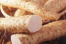 名字之歌 推荐视频