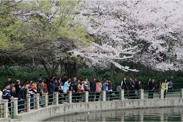 体育皇后1961 推荐视频