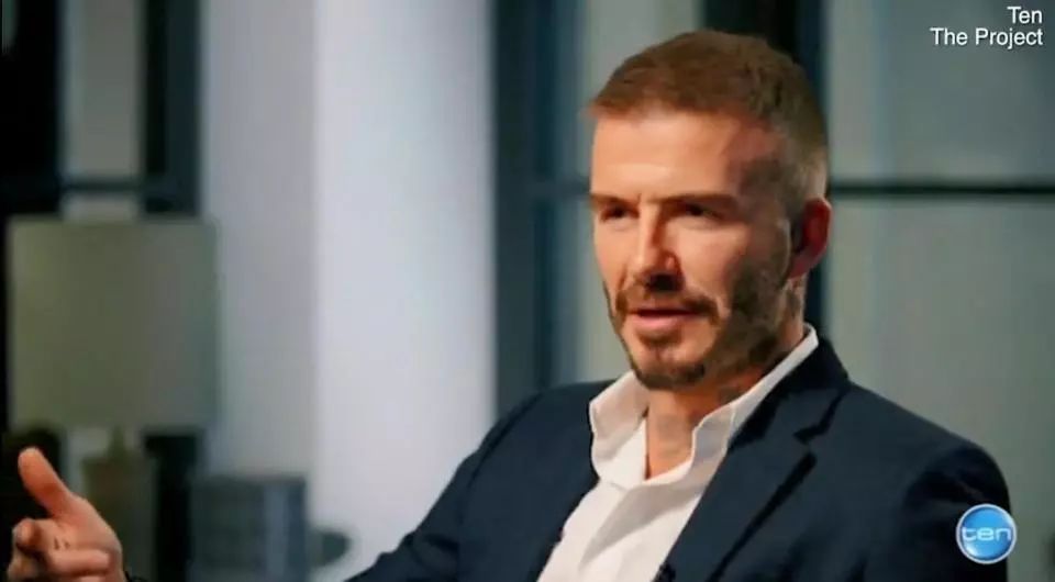 喵喵博物館 推荐视频