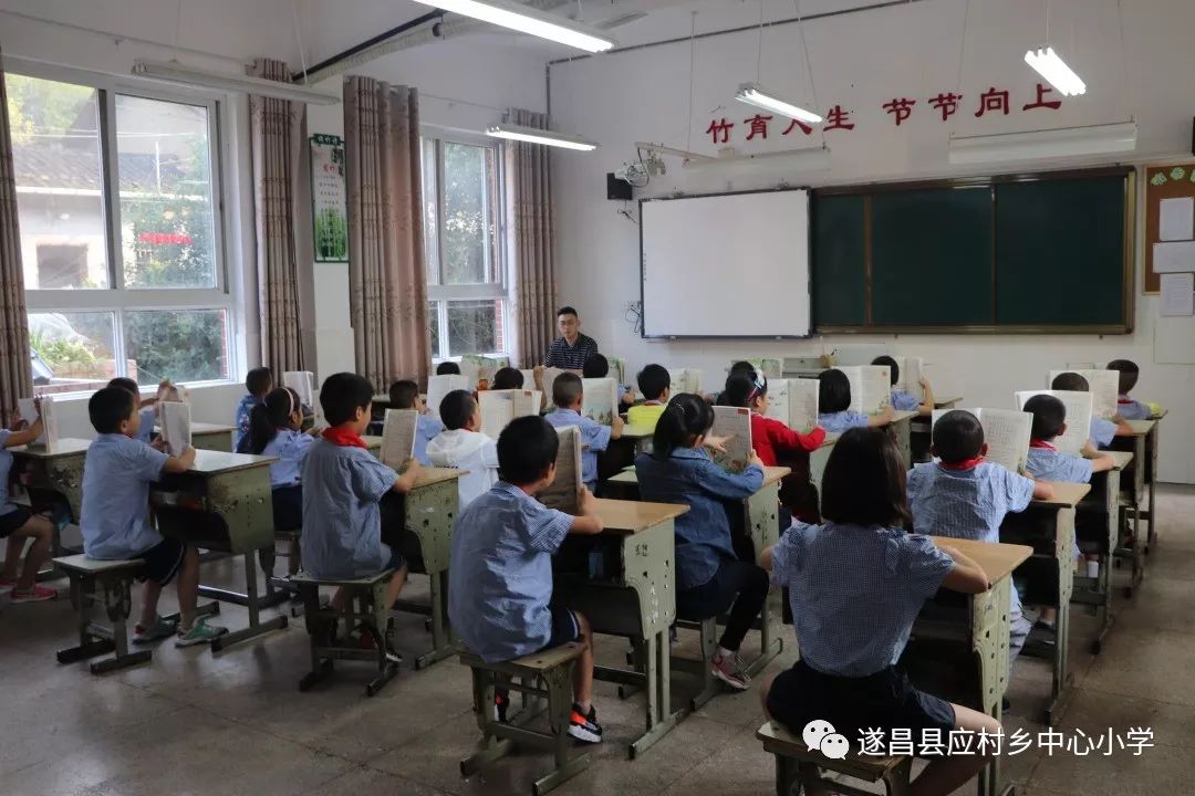 企鹅小守护 推荐视频