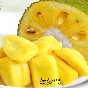 偷自行车的人 推荐视频